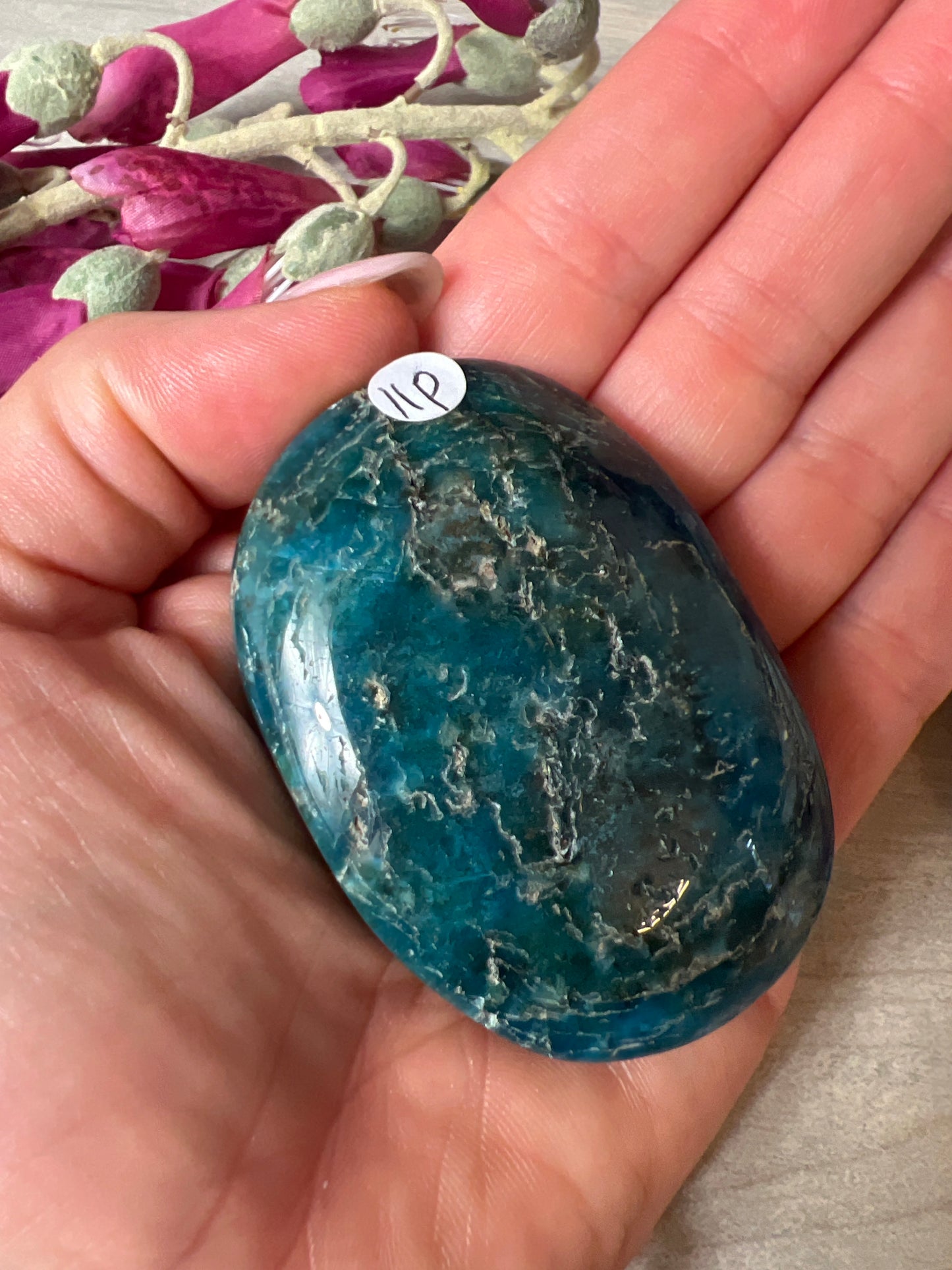 Apatite Palm
