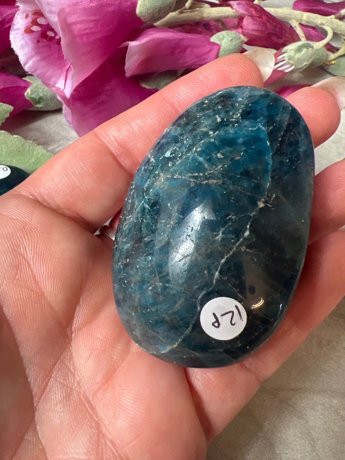 Apatite Palm