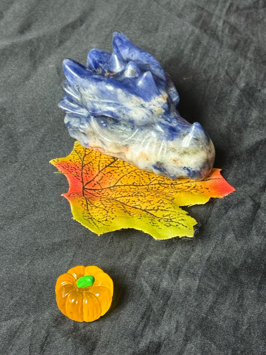 Sodalite Dragon