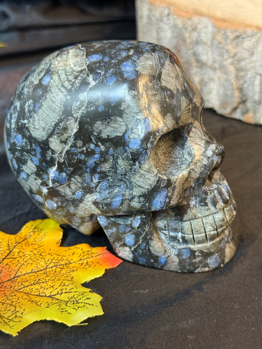 Que Sera Skull