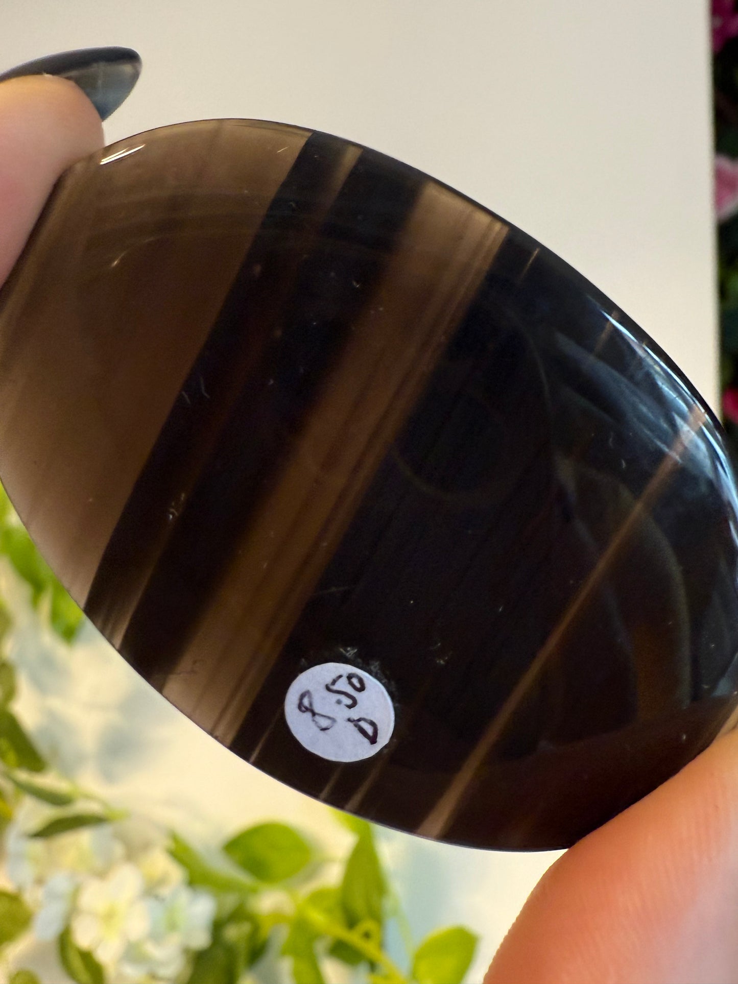 Midnight Lace Obsidian Palm