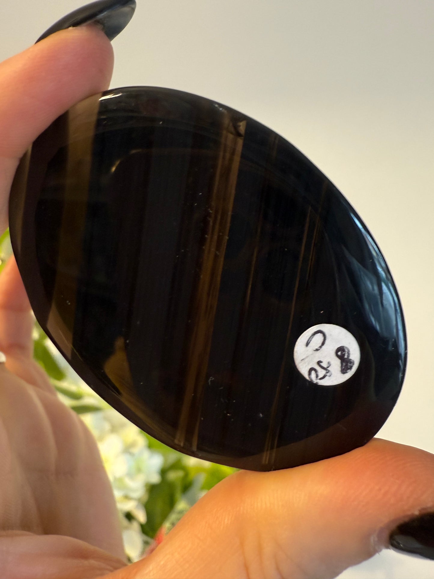 Midnight Lace Obsidian Palm