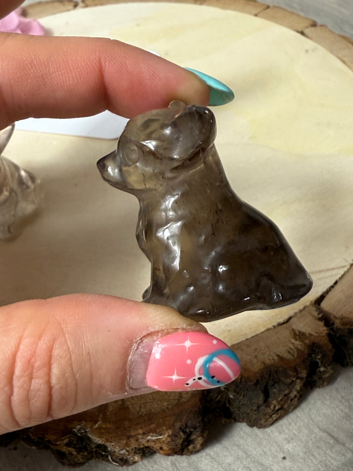 Smoky Dog / Chihuahua