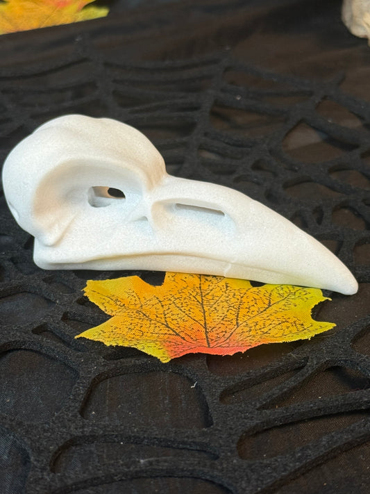 Large Raven Crow Skull