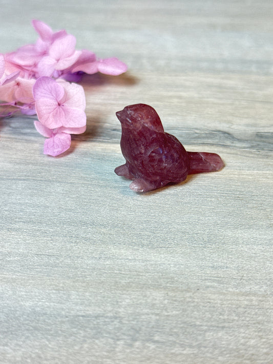 Strawberry Bird / Robin