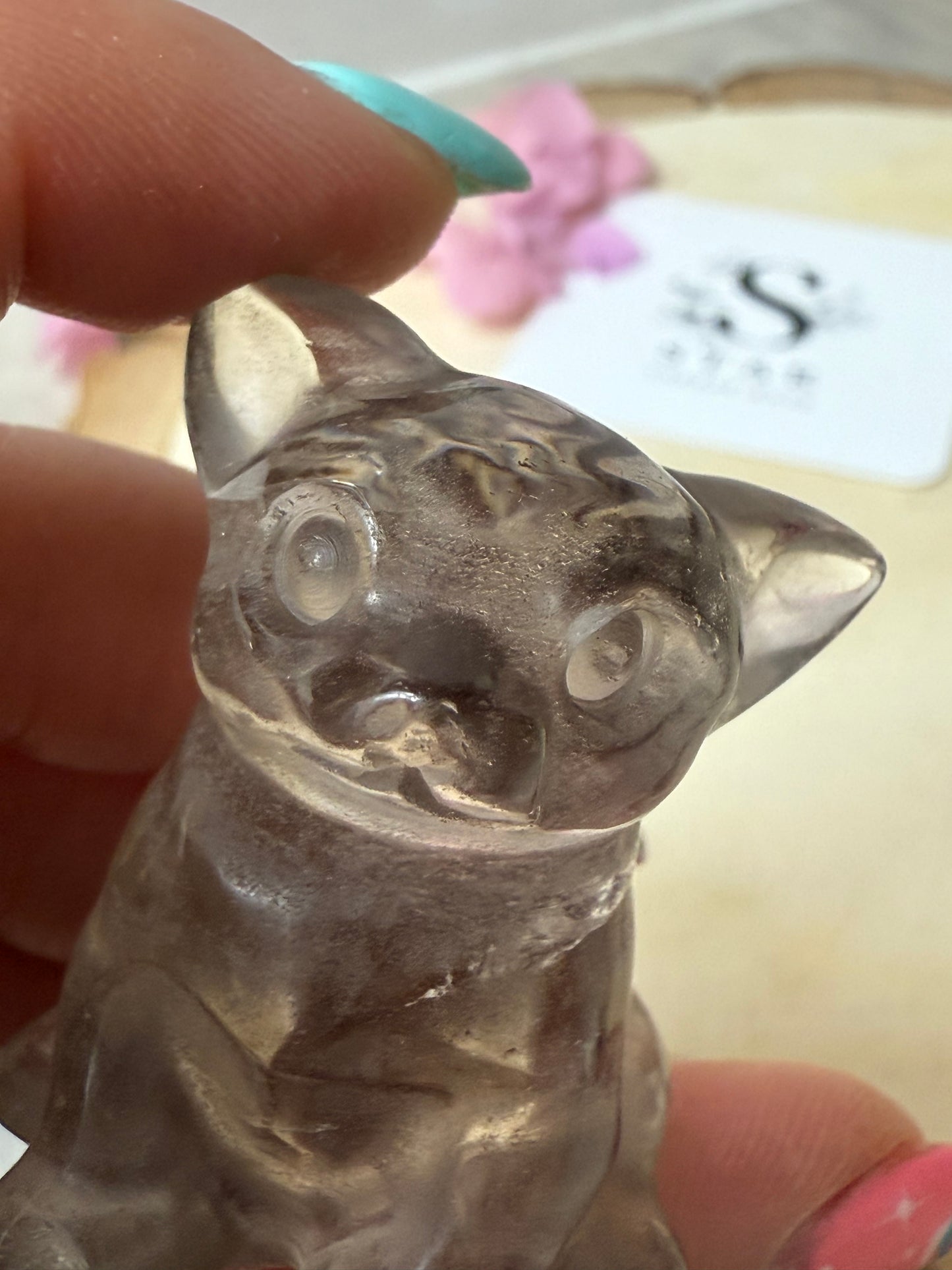 Smoky Dog / Chihuahua