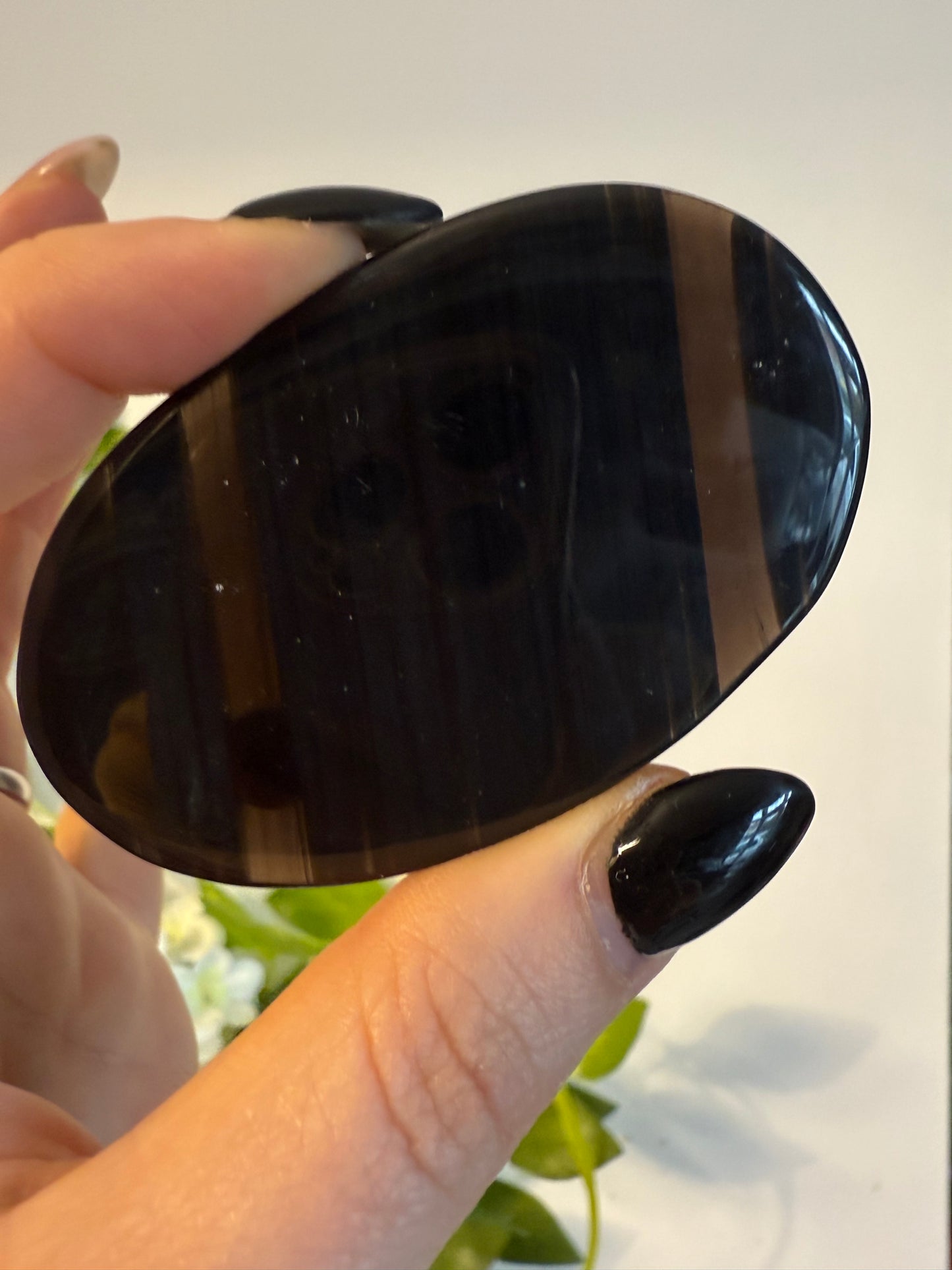 Midnight Lace Obsidian Palm