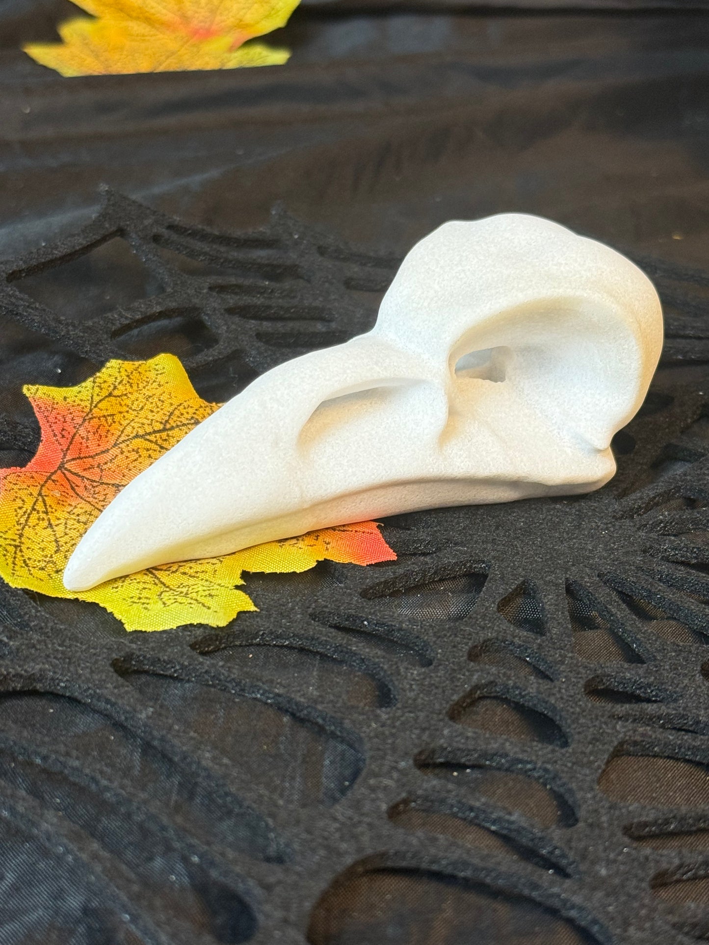 Large Raven Crow Skull