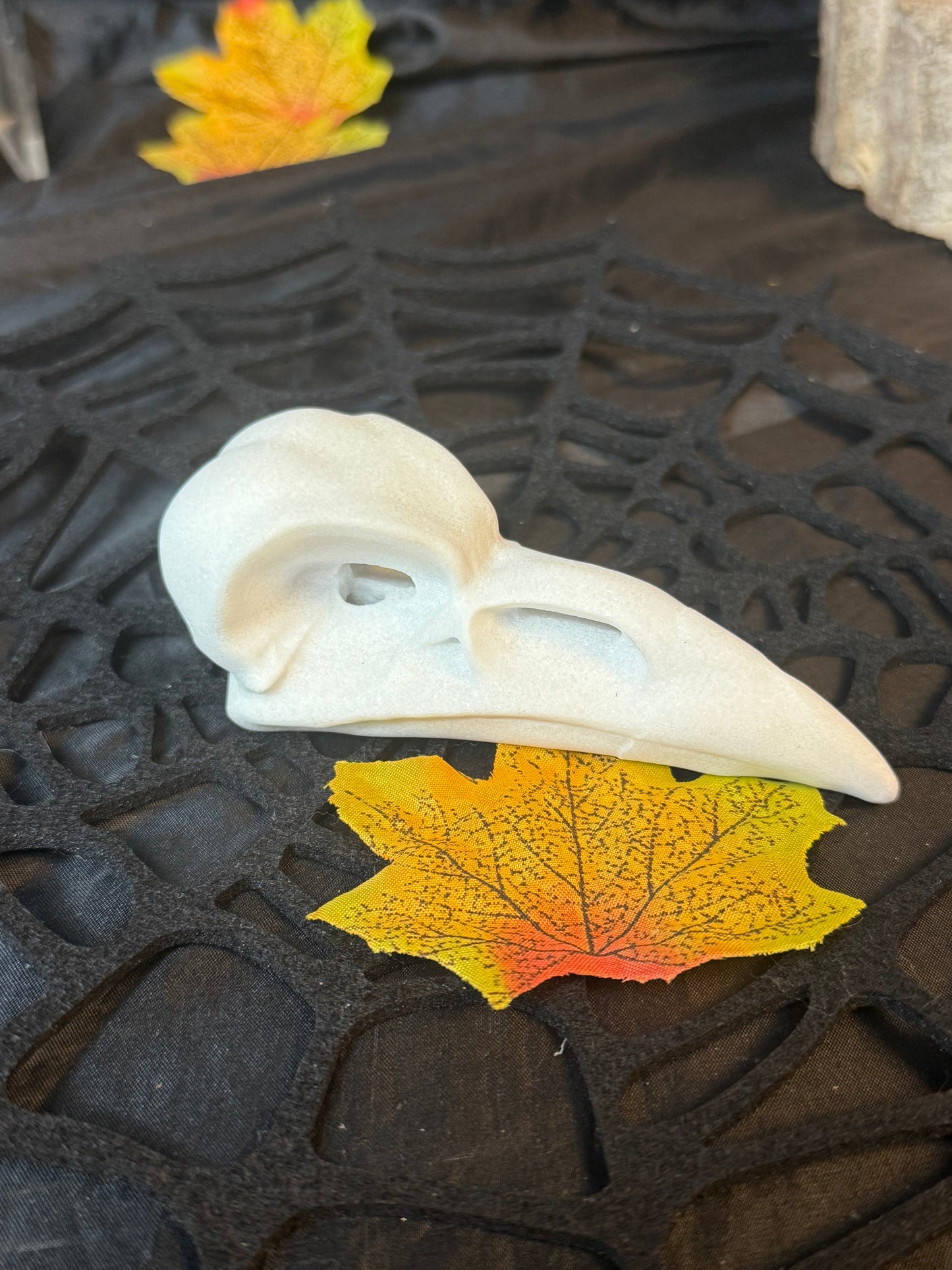 Large Raven Crow Skull