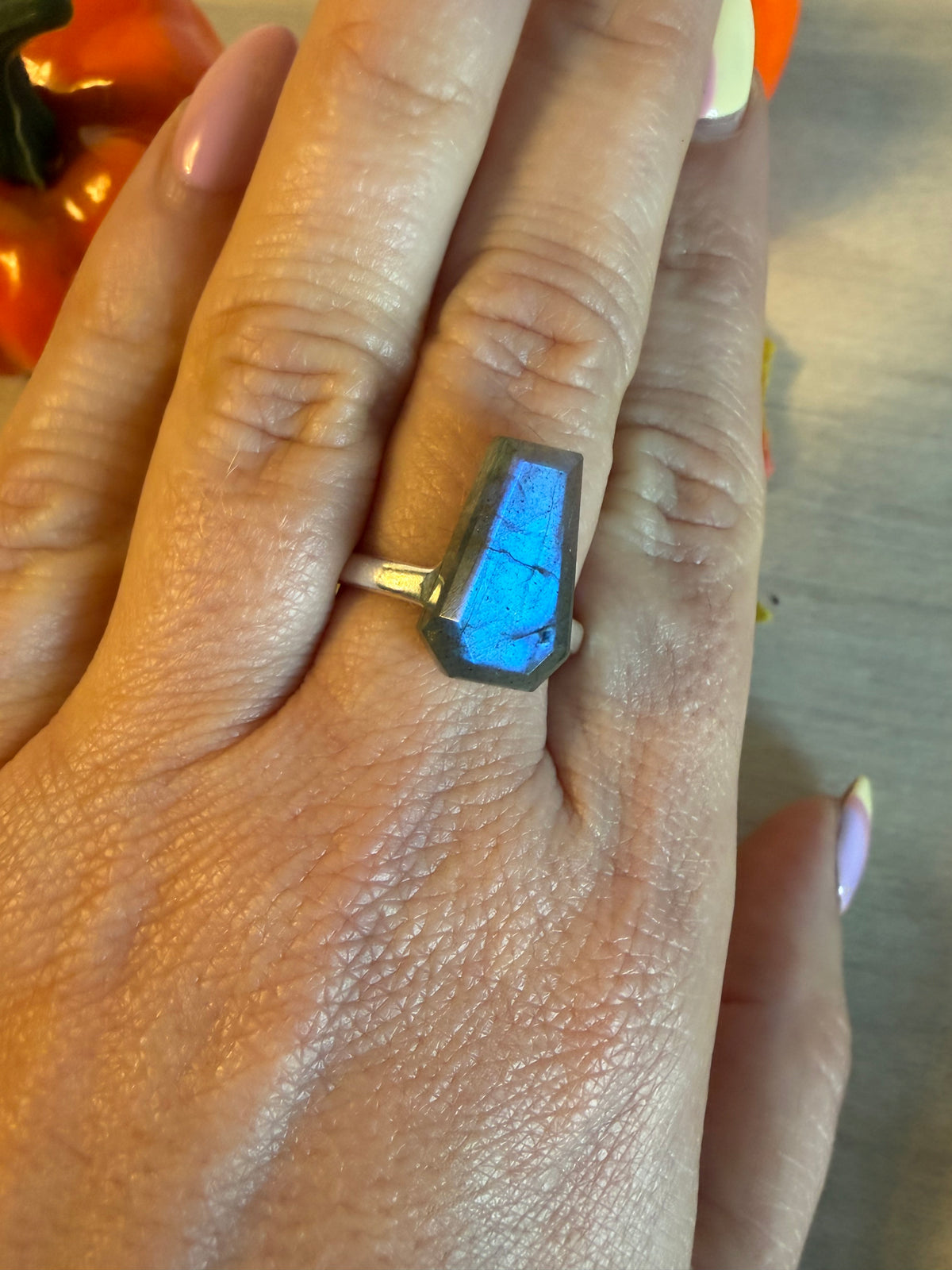 Handmade Lab Coffin Adjustable 925 Silver Ring