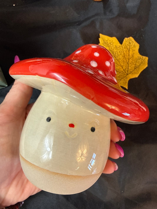 Toadstool mushroom Money Box