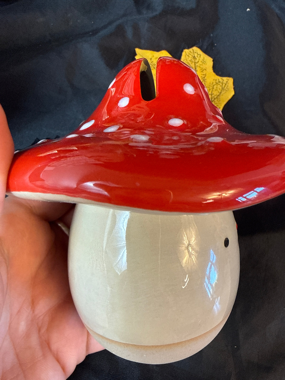 Toadstool mushroom Money Box