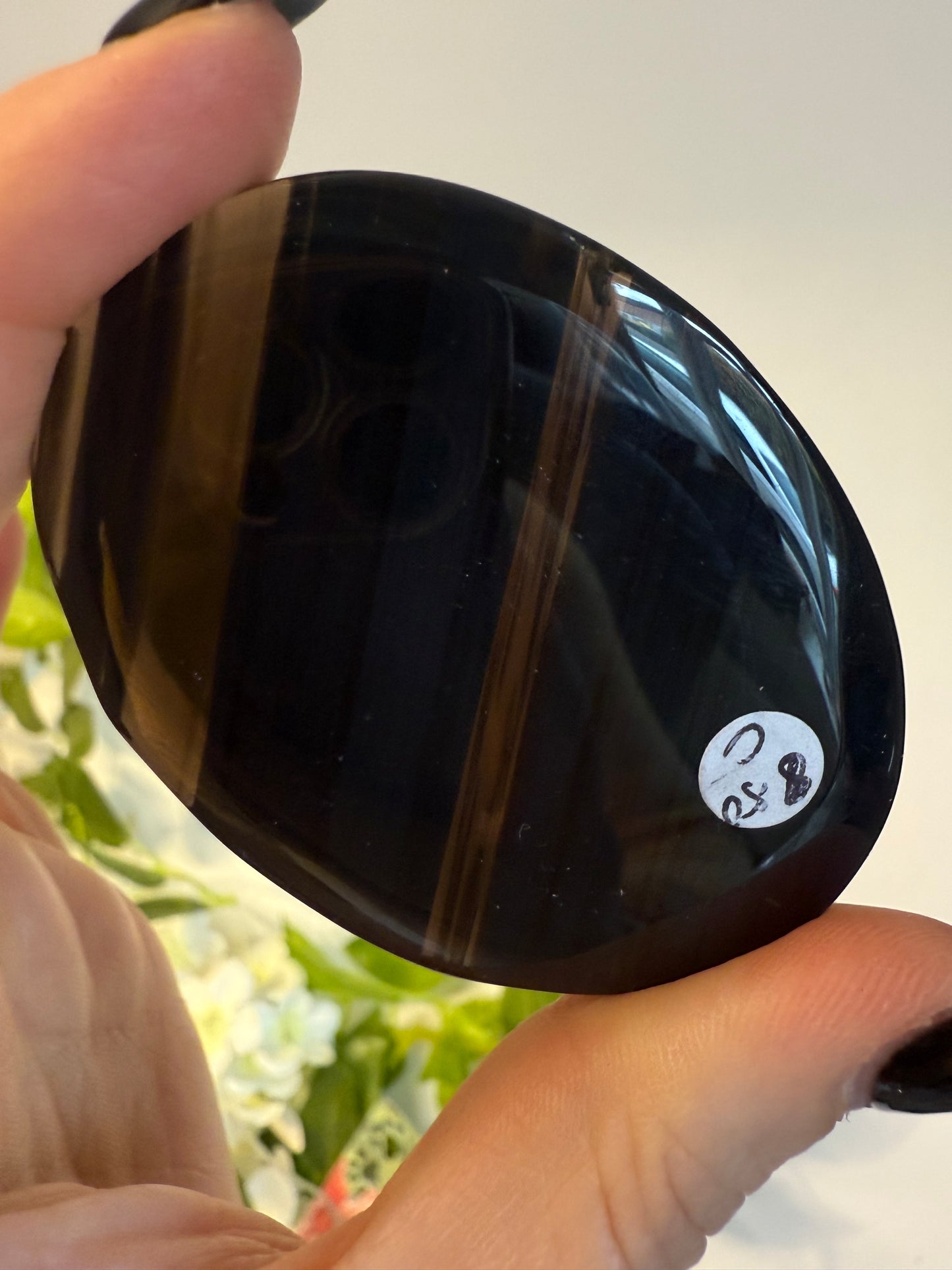 Midnight Lace Obsidian Palm