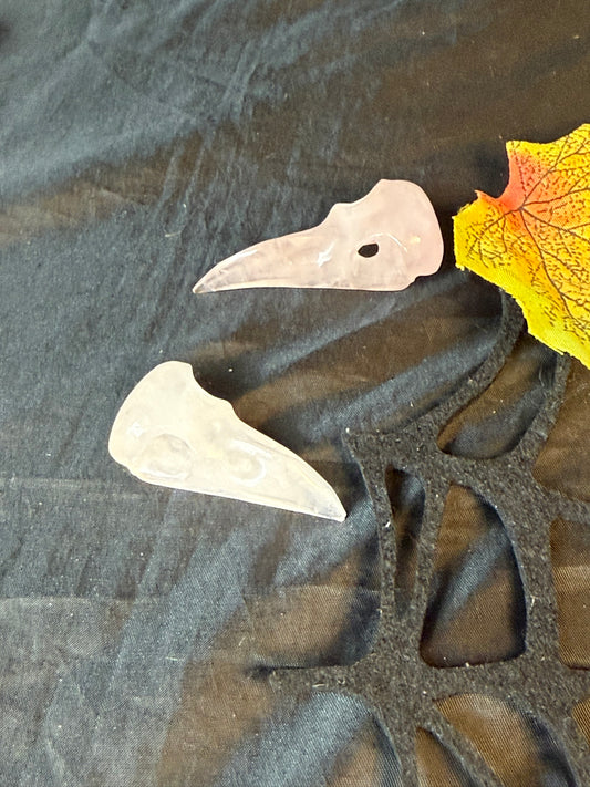 Raven Crow Skulls