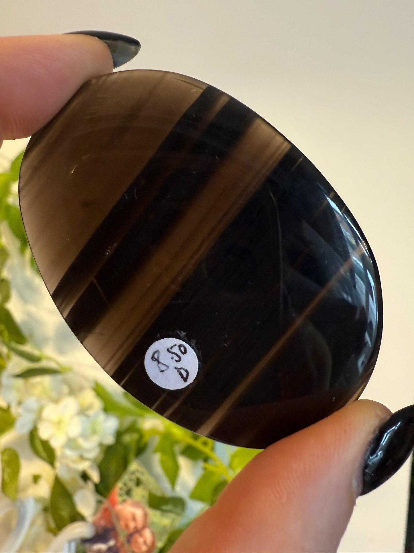 Midnight Lace Obsidian Palm