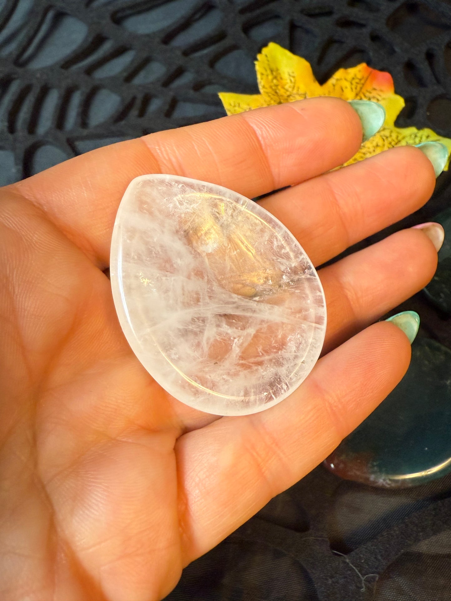 Teardrop Palm
