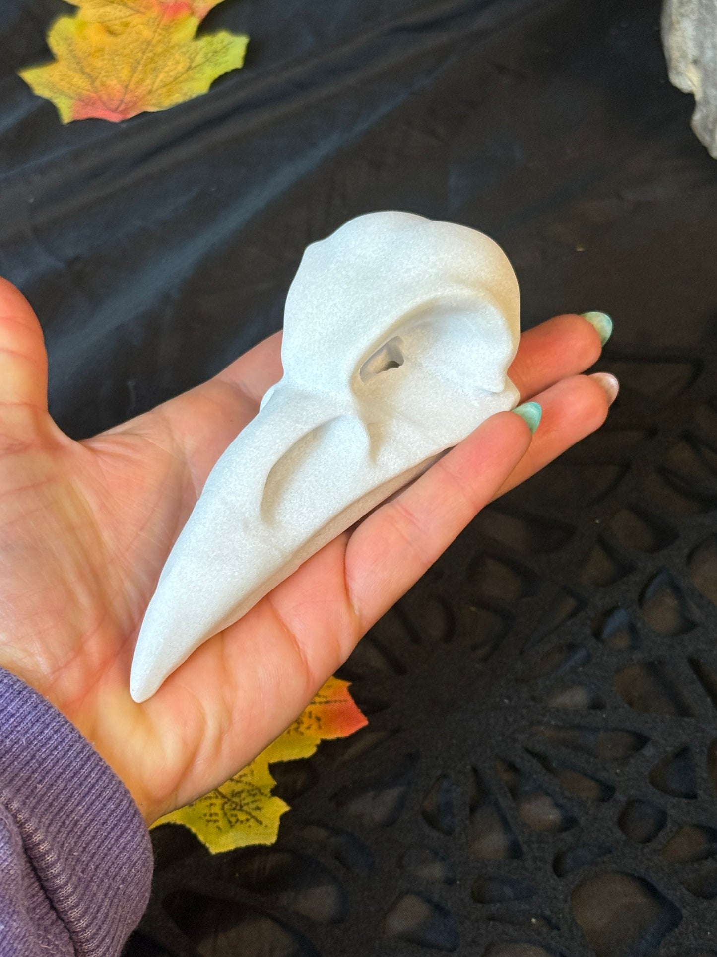 Large Raven Crow Skull