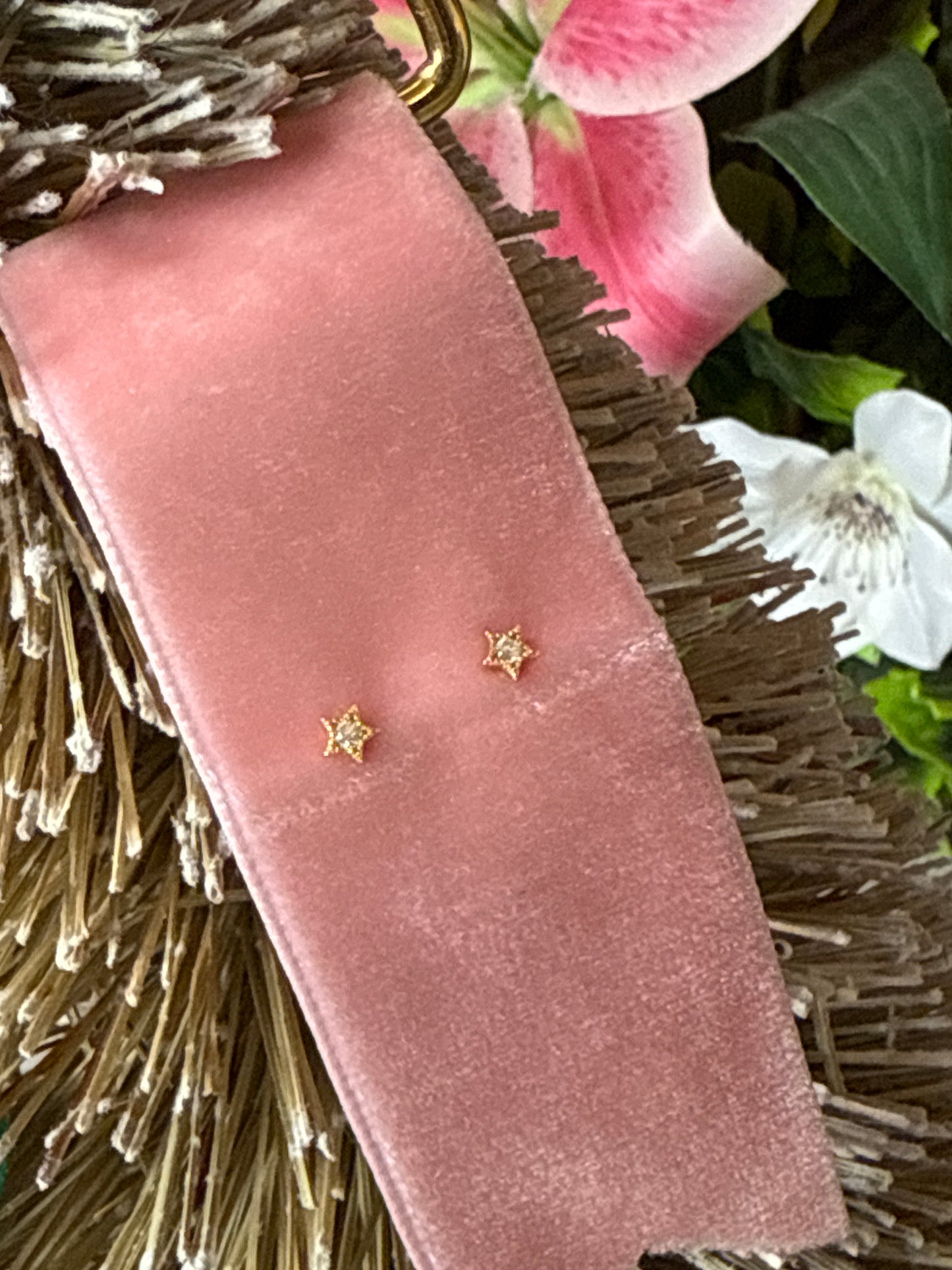 Celestial 925 Earrings Studs