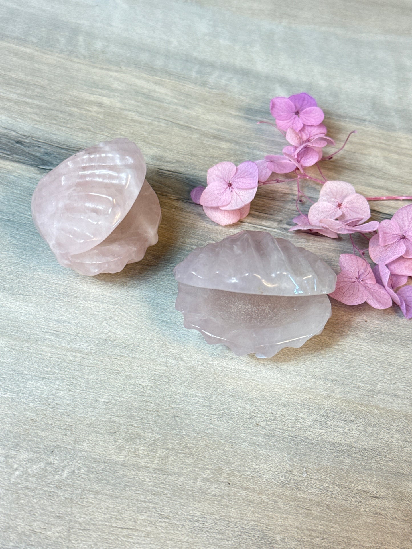 Rose Quartz Sea Shell