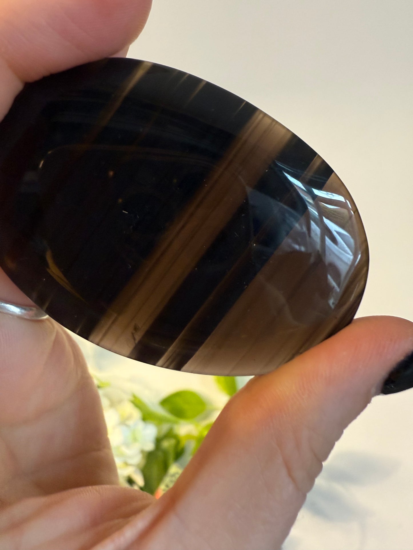 Midnight Lace Obsidian Palm