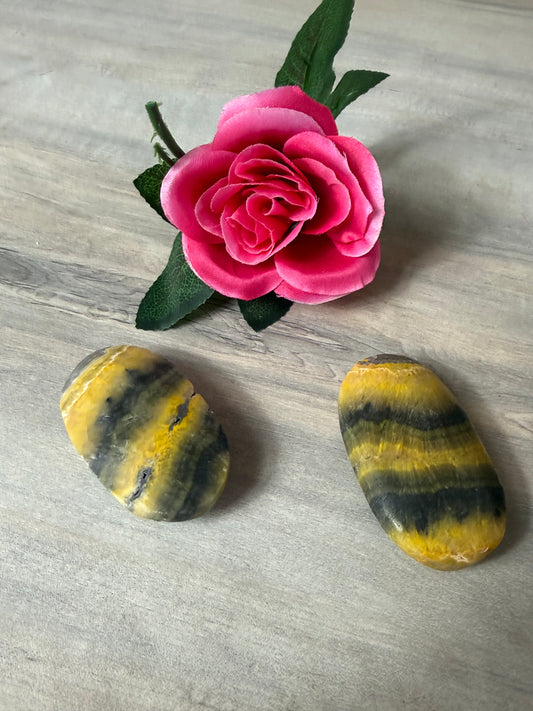 Bumblebee Large Palm