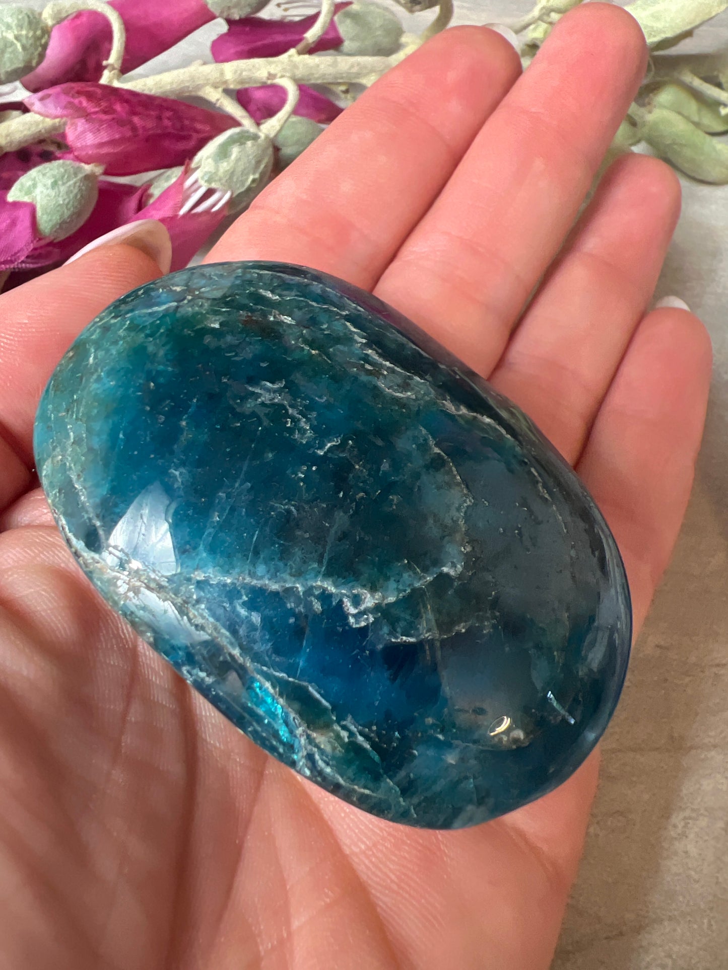 Apatite Palm