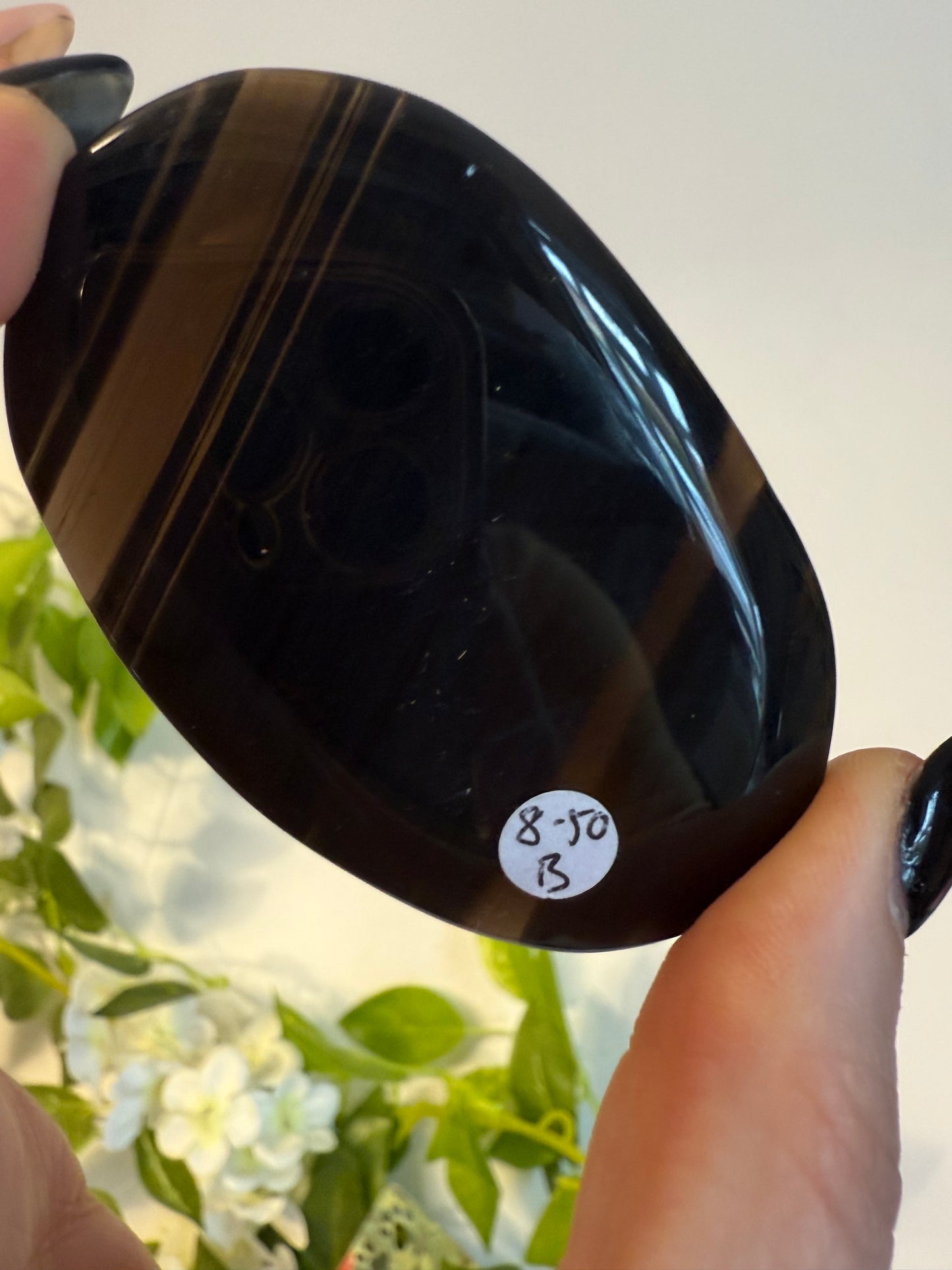 Midnight Lace Obsidian Palm