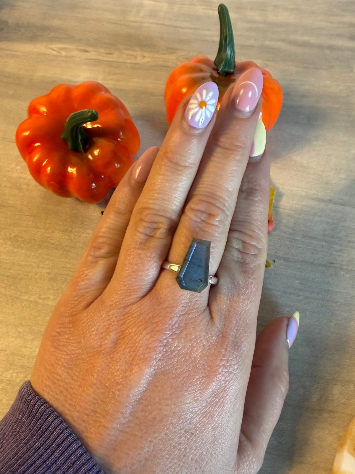 Handmade Lab Coffin Adjustable 925 Silver Ring