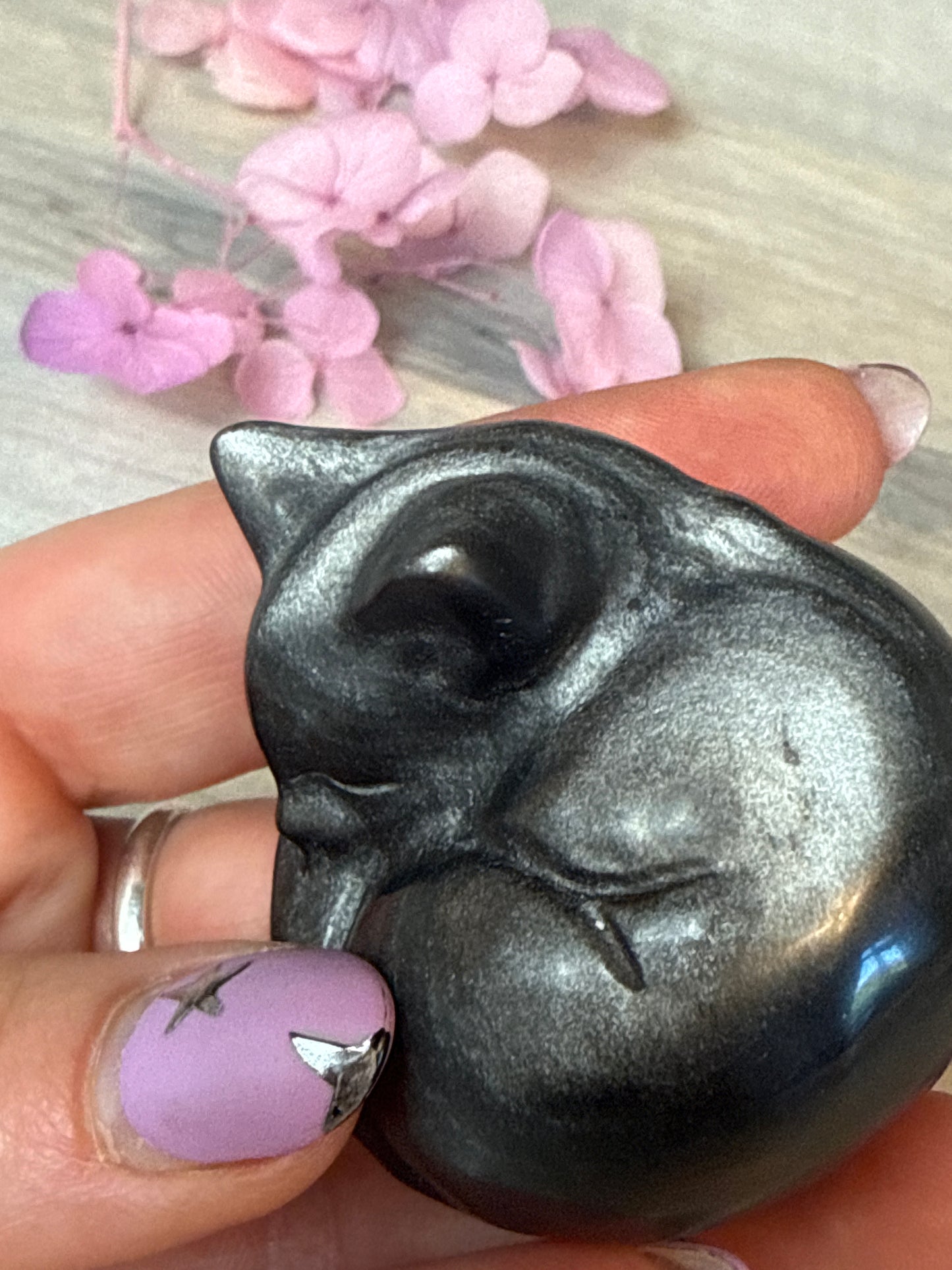 Sleeping Cat
