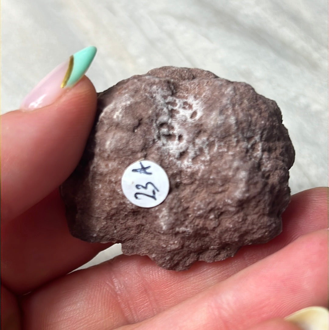 Pink Amethyst Geode Cluster Specimen
