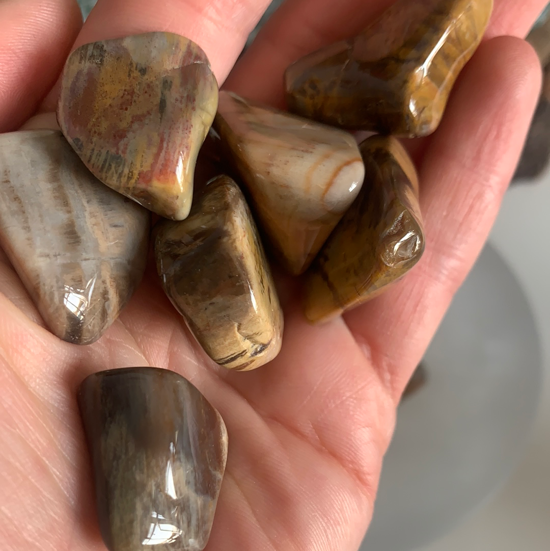 Petrified Wood Tumble Tumblestone
