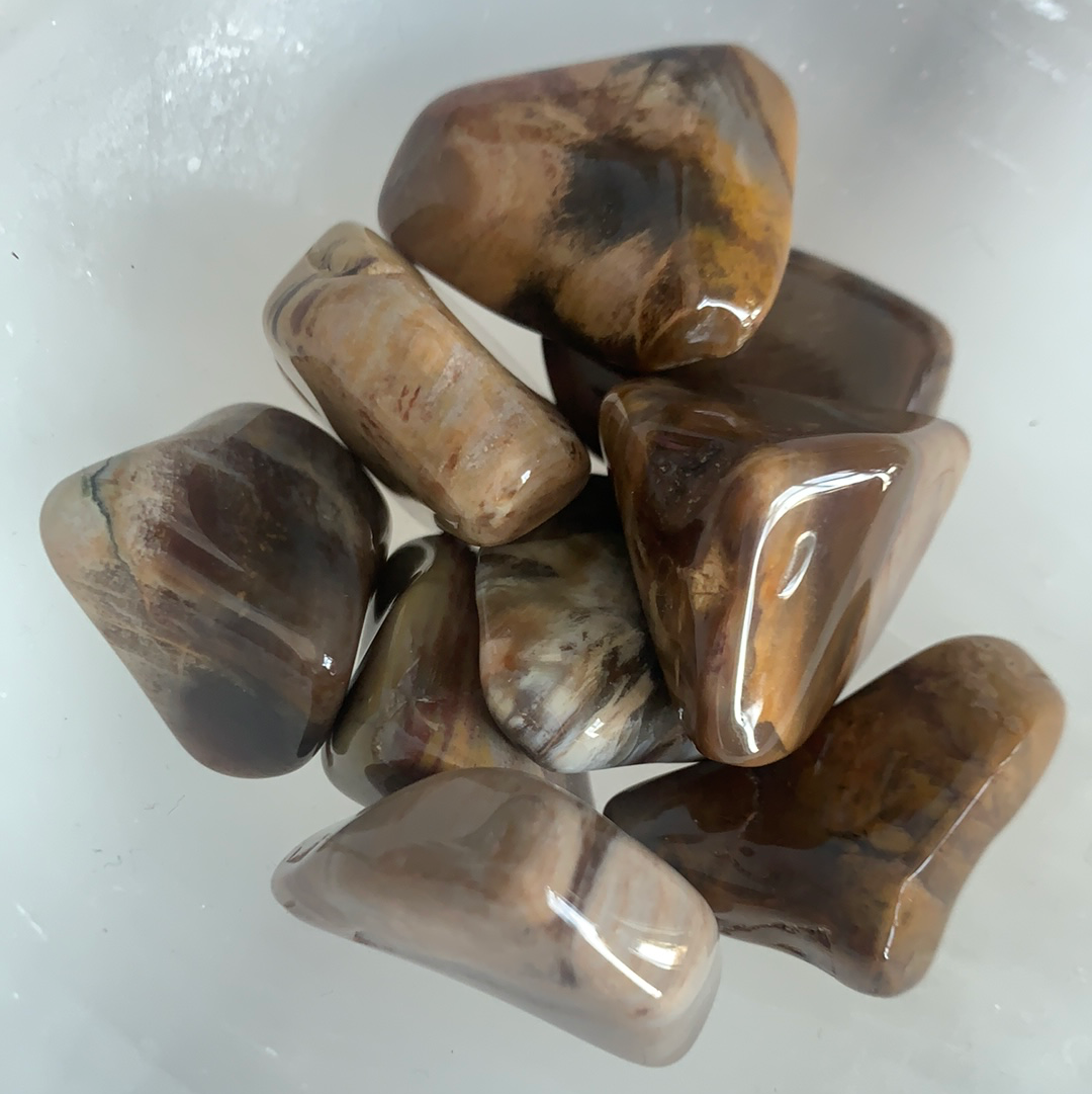 Petrified Wood Tumble Tumblestone